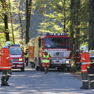 normal_15102011fmt_adrunfall_fm_01.jpg