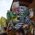 DSC01920_JPG-1318694346