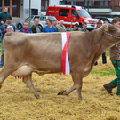 DSC_9197.JPG