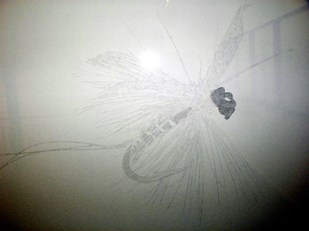 258_JPG-1318718207