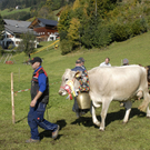 001_bearbeitet-1.jpg