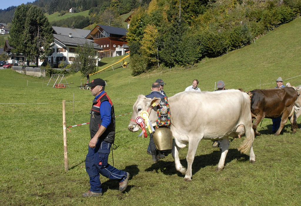 001_bearbeitet-1.jpg