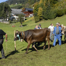 007_bearbeitet-1.jpg
