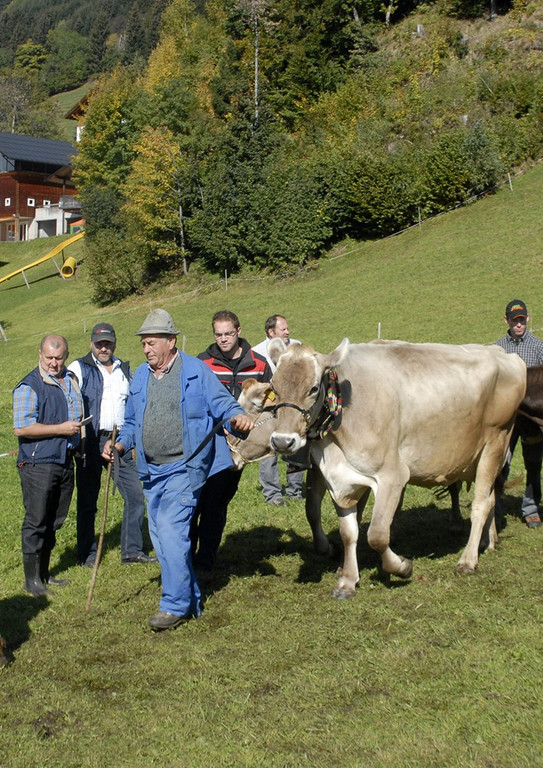 008_bearbeitet-1.jpg