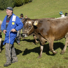 011_bearbeitet-1.jpg