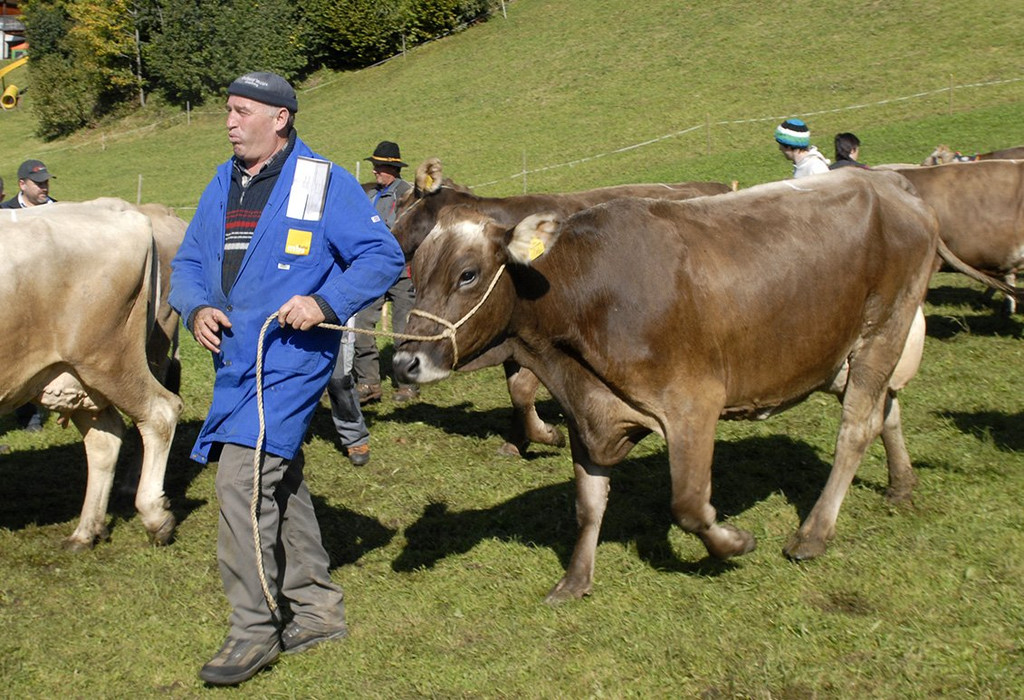 011_bearbeitet-1.jpg
