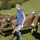012_bearbeitet-1.jpg