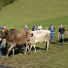 016_bearbeitet-1.jpg