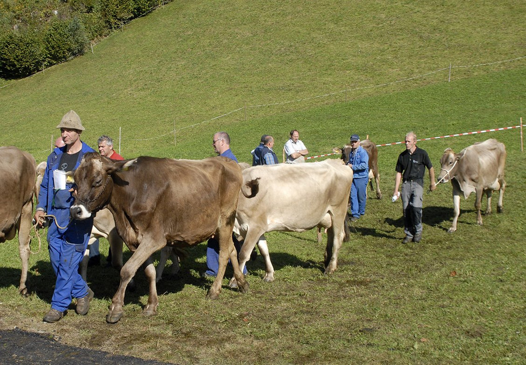 016_bearbeitet-1.jpg
