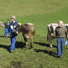039_bearbeitet-1.jpg