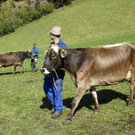 042_bearbeitet-1.jpg
