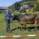 055_bearbeitet-1.jpg