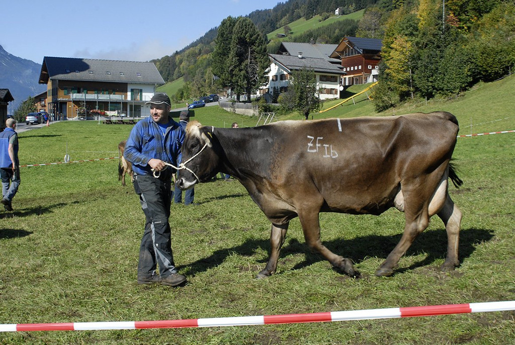 055_bearbeitet-1.jpg