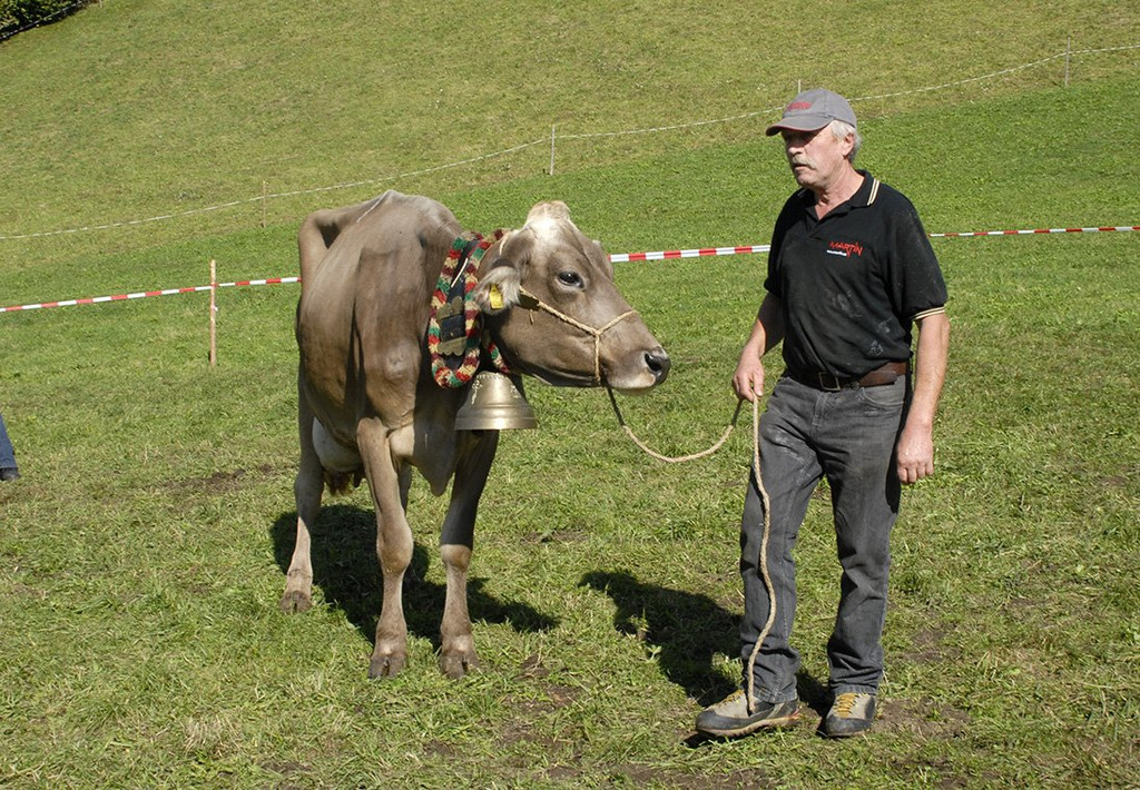 095_bearbeitet-1.jpg