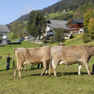107_bearbeitet-1.jpg