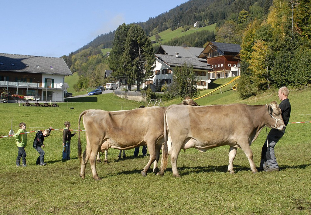 107_bearbeitet-1.jpg