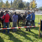 114_bearbeitet-1_jpg-1318736700