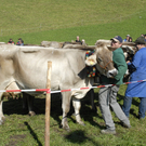 169_bearbeitet-1.jpg
