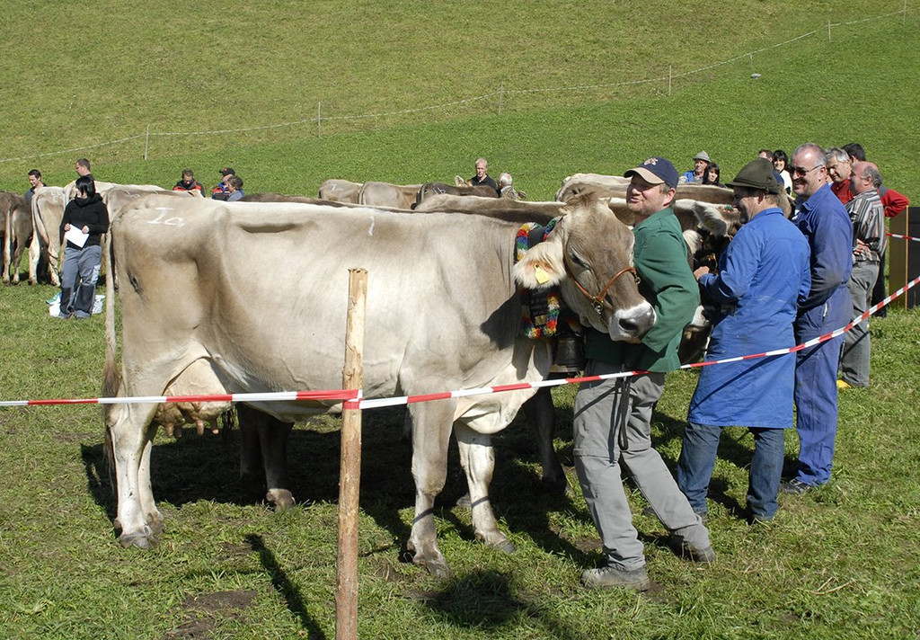 169_bearbeitet-1.jpg