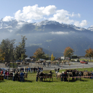 171_bearbeitet-1.jpg
