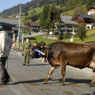 195_bearbeitet-2.jpg