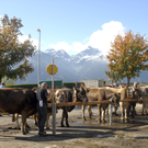 198_bearbeitet-1.jpg