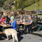 213_bearbeitet-1.jpg