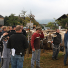 IMG_1169_jpg-1318745196