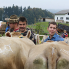 IMG_1221_jpg-1318745270