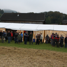IMG_1222_jpg-1318745276