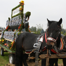 IMG_1325_jpg-1318745493