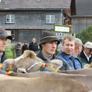 IMG_1352_jpg-1318745537