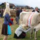 IMG_1358_jpg-1318745554