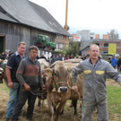 IMG_1360_jpg-1318745560