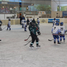 DSC_0149.JPG