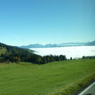 k-P1040224.JPG
