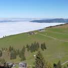 k-P1040316.JPG