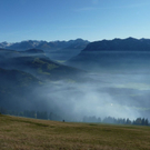 k-P1040352.JPG