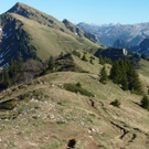 k-P1040363.JPG