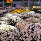 normal_15102011herbsthigligthsspaktivnews_016.JPG