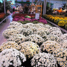 normal_15102011herbsthigligthsspaktivnews_017.JPG