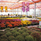normal_15102011herbsthigligthsspaktivnews_018.JPG