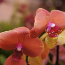 normal_15102011herbsthigligthsspaktivnews_021.JPG