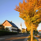 normal_15102011herbsthigligthsspaktivnews_025.JPG