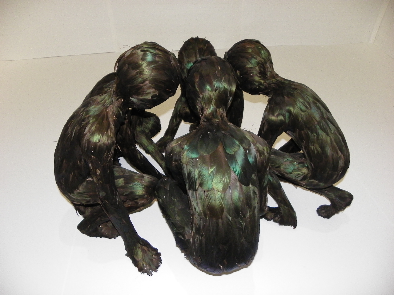 112_4417_JPG-1318767524