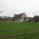 IMG_5540.JPG
