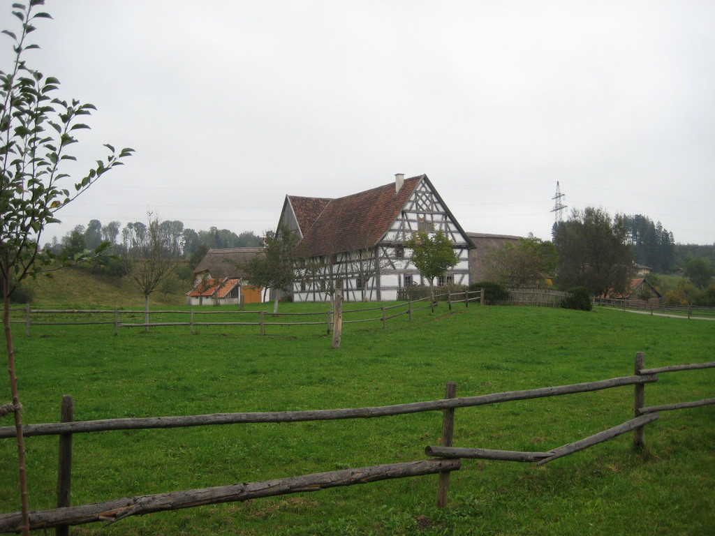IMG_5540.JPG