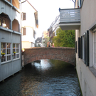 IMG_5546.JPG