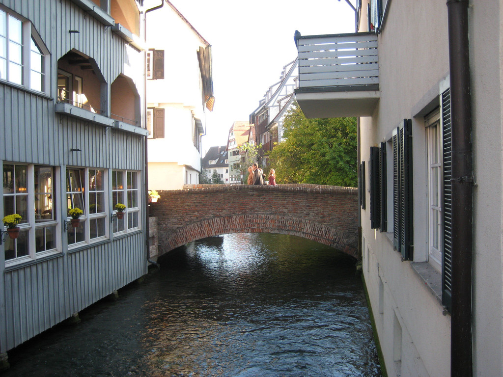IMG_5546.JPG