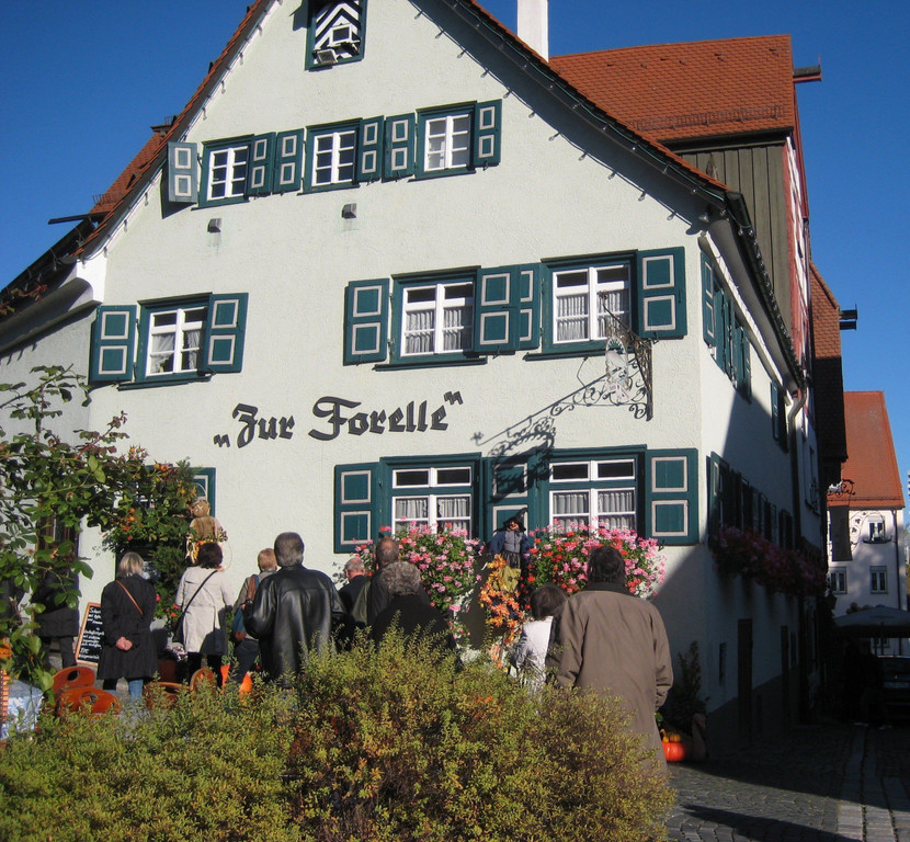 IMG_5550.JPG